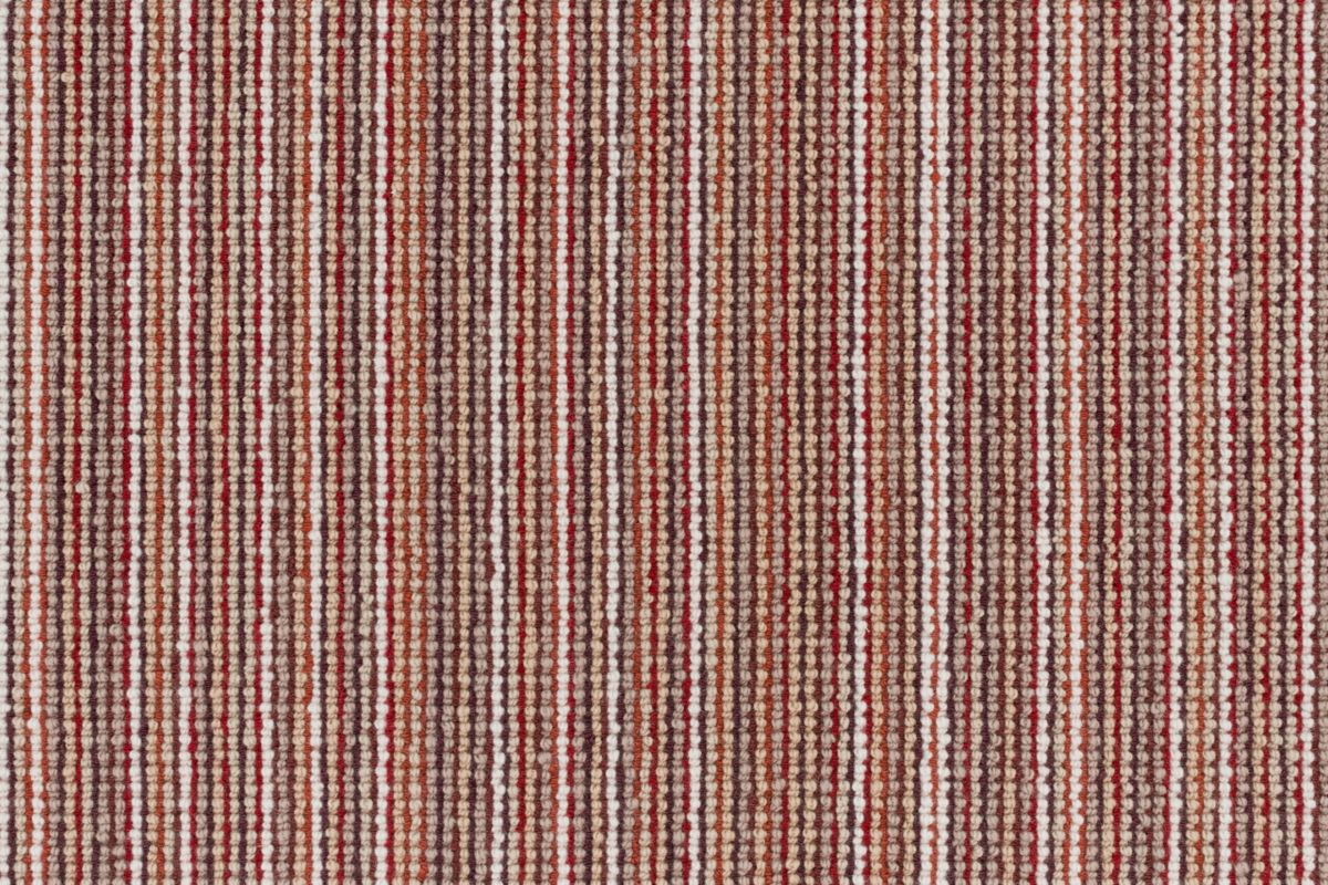 Clara - 66 Canyon Rectangular 4'0''x6'0''