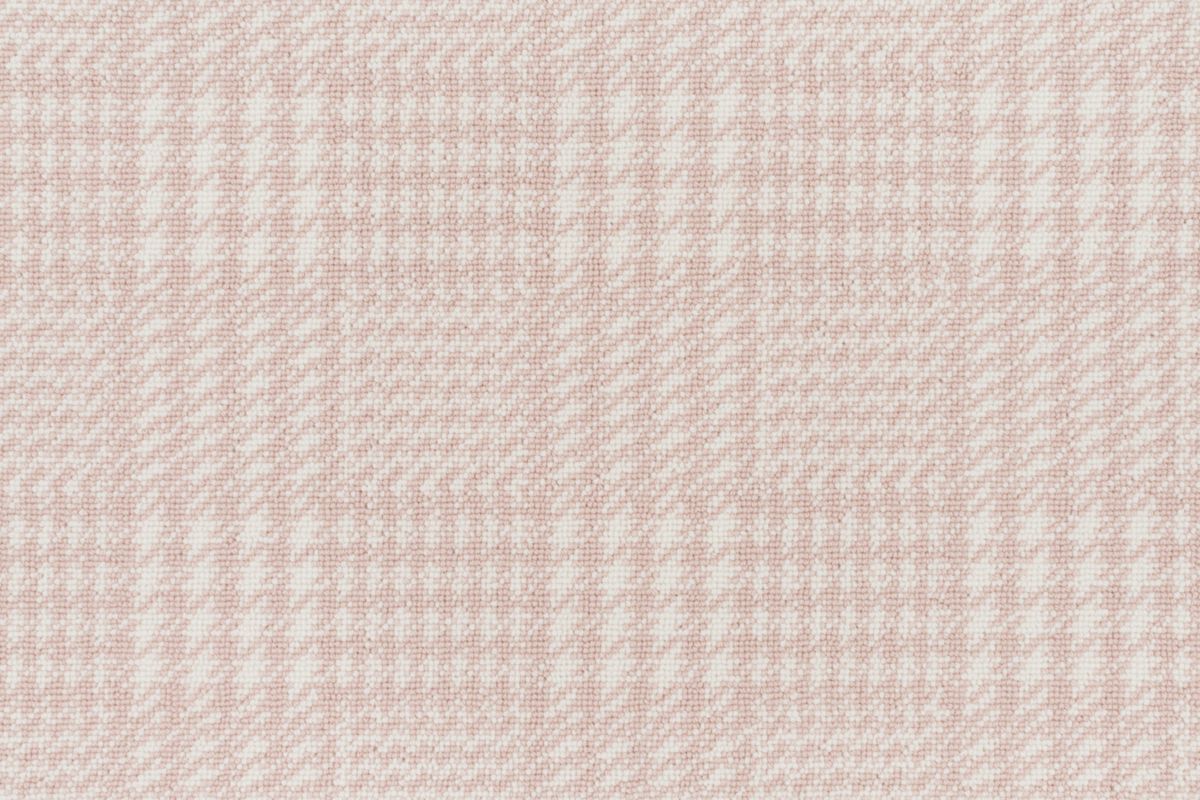 Carnation
