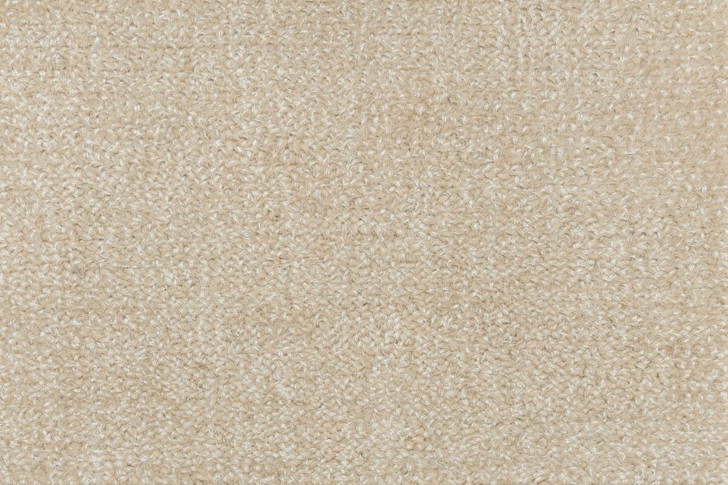 T01009496_CL