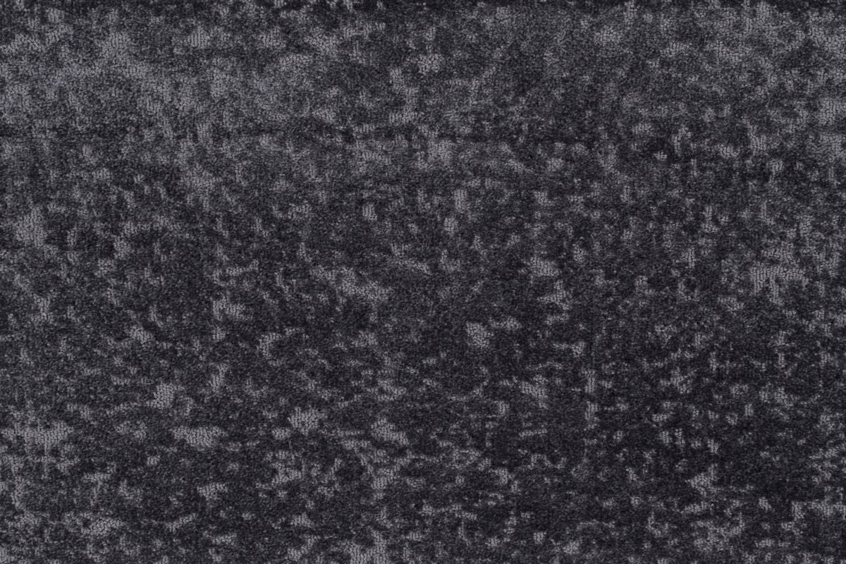 T01010182_CL