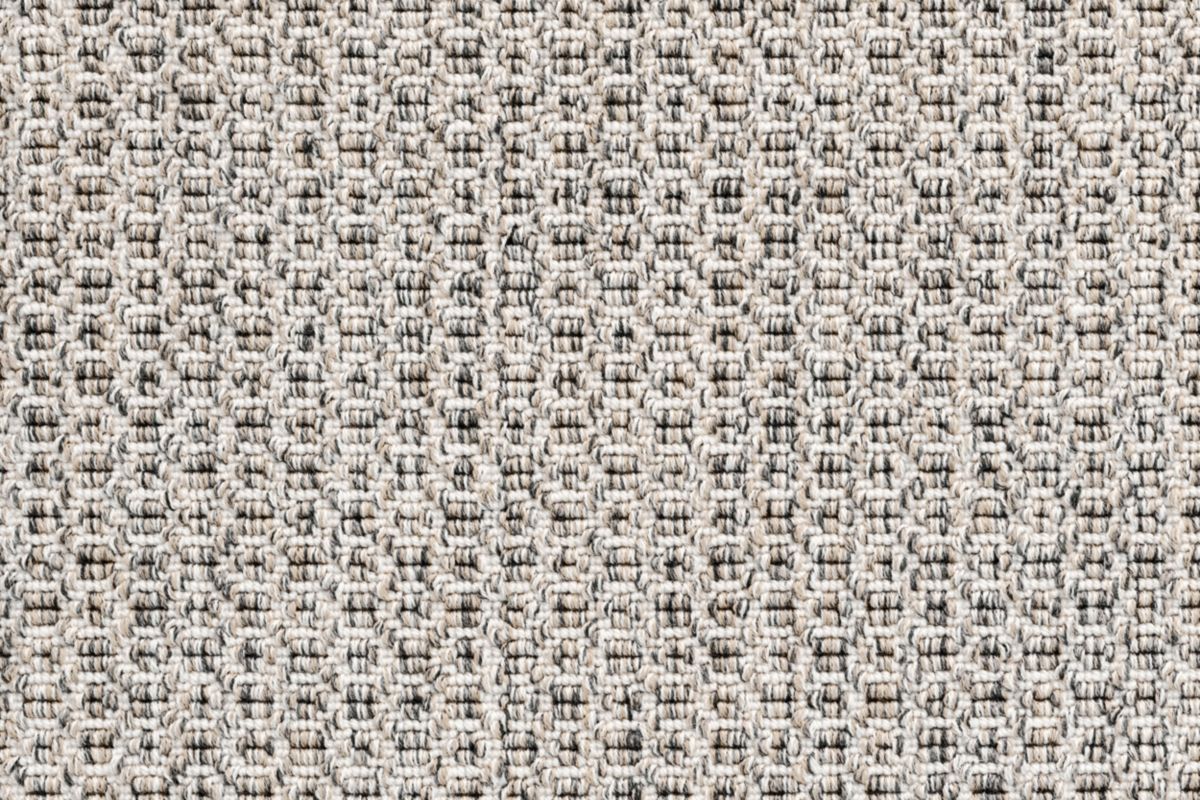 T01013953_CL